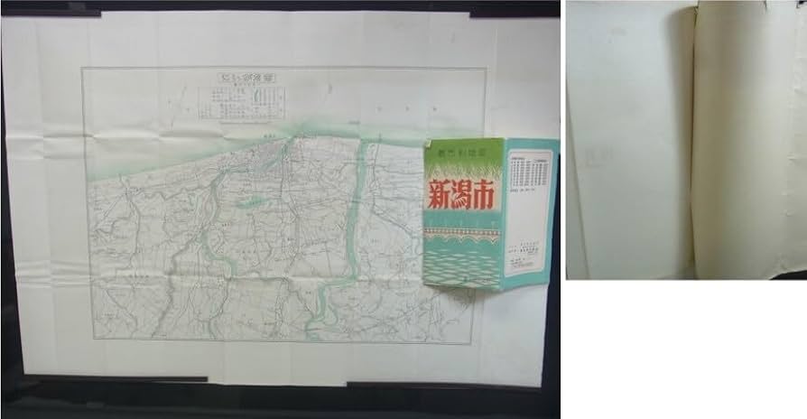 Amazon.co.jp: 都市別地図 新潟市 両面印刷 1万分の1/6万分の1